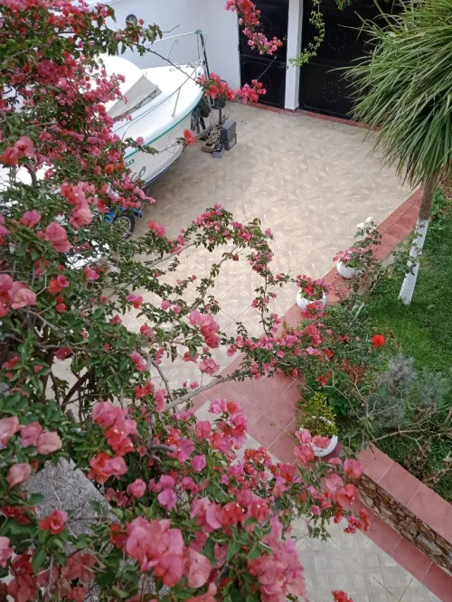 Location vacances Villa El taref El kala