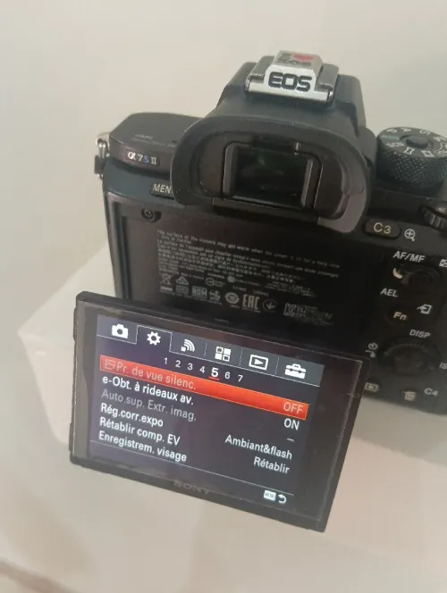 Sony a7s ii