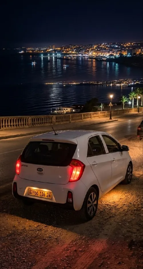 Kia Picanto 2016 Safety 8