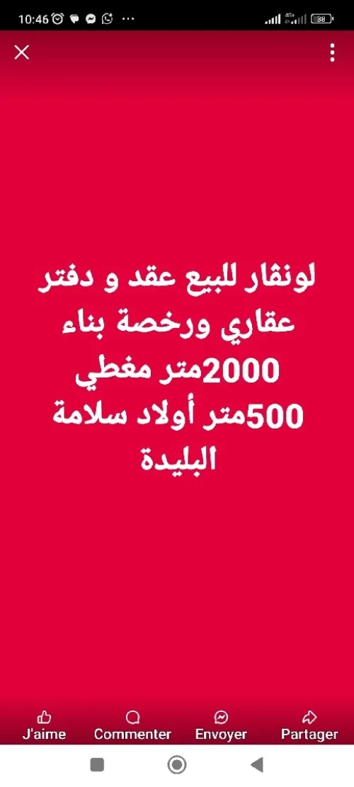 Vente Hangar - Usine Blida Ouled selama