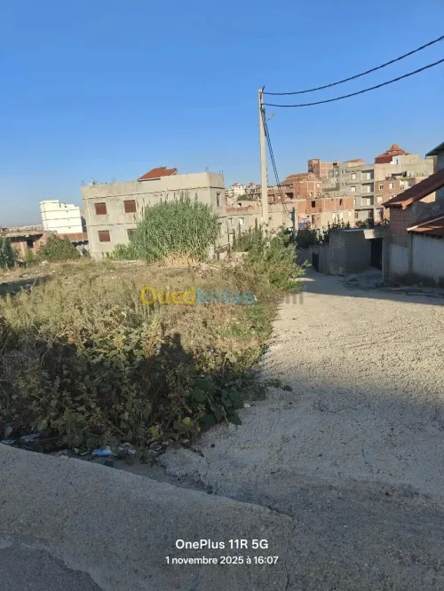 Vente Terrain Boumerdès Ouled moussa