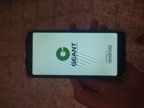 GEANT Geant t3