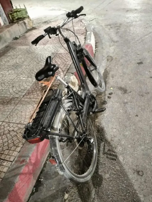 Vélo électrique Gitan organ ebike Gitan 