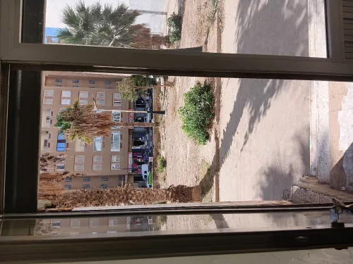 Vente Local Chlef Tenes