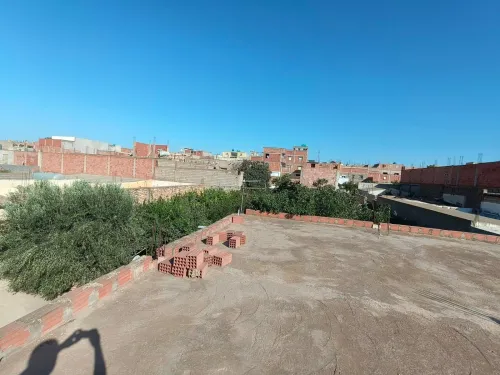 Vente Terrain Mostaganem Hassi maameche