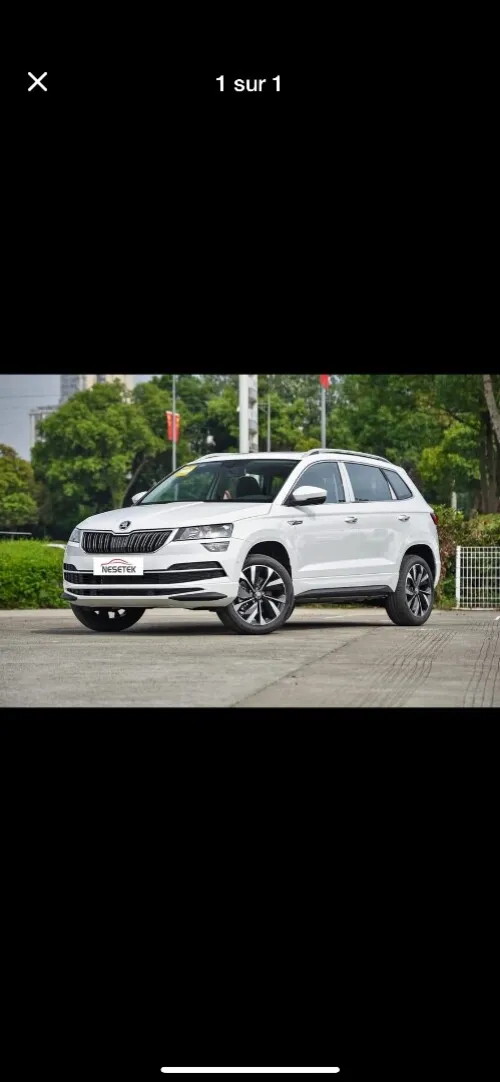 Skoda Karoq 2025 Tout option