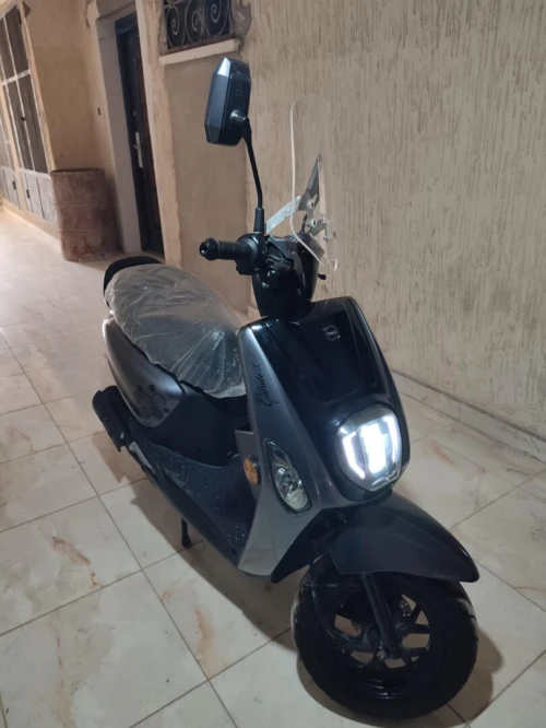 Vms Estate x 2025