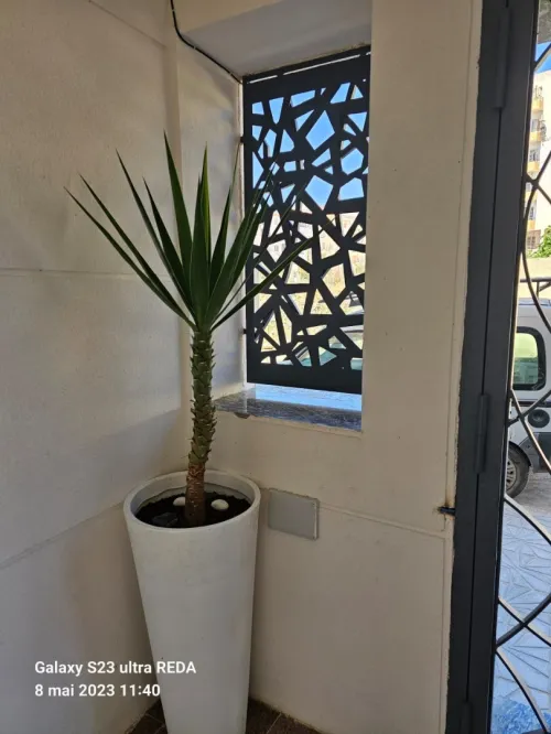 Vente Immeuble Oran Ain el turck