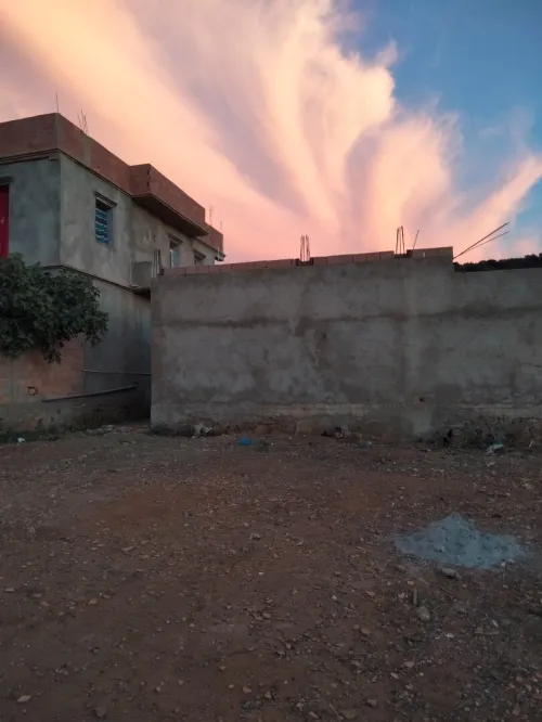 Vente Terrain Mostaganem Sidi ali