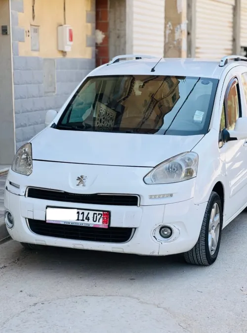 Peugeot Partner 2014 Tepee