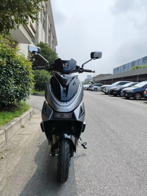 REX Electrique 2025