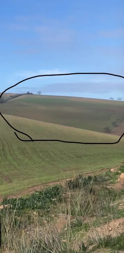 Location Terrain Agricole Aïn Témouchent Aghlal