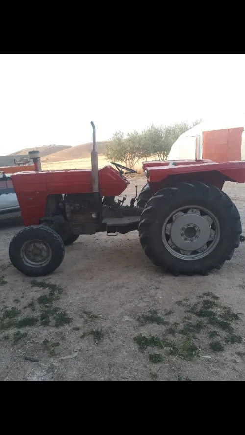 imt imt 1981