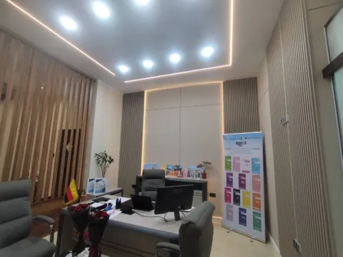 Placo plâtre BA13