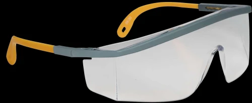Lunettes de Sécurité Incolore et Fumée  Protection Professionnelle