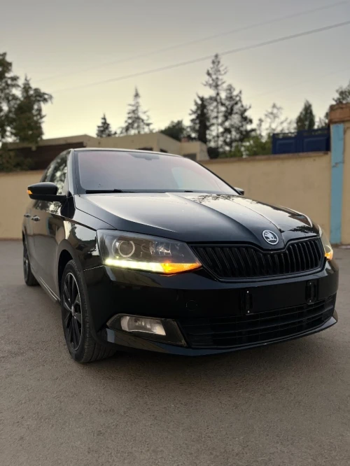 Skoda Fabia 2017 Monte Carlo