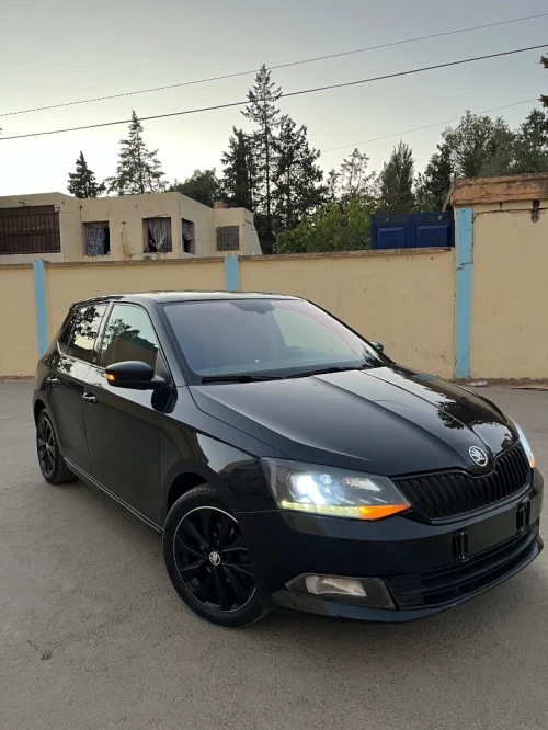 Skoda Fabia 2017 Monte Carlo