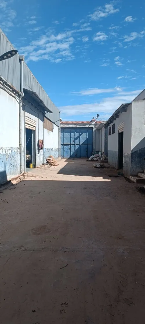 Vente Hangar - Usine Oran Sidi chami
