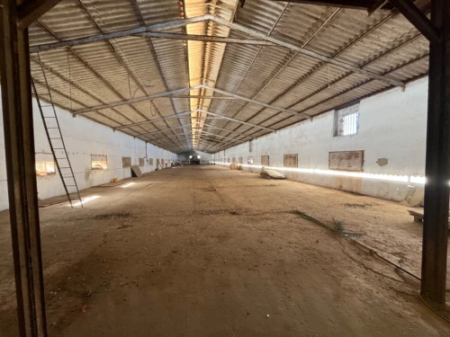 Location Hangar - Usine Oran El braya
