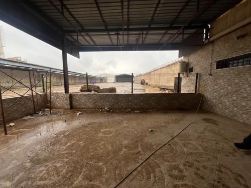 Location Hangar - Usine Oran Sidi chami