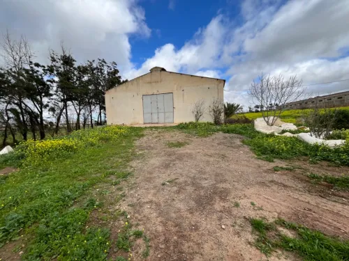 Location Hangar - Usine Oran El braya