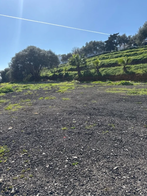 Location Terrain Alger Draria