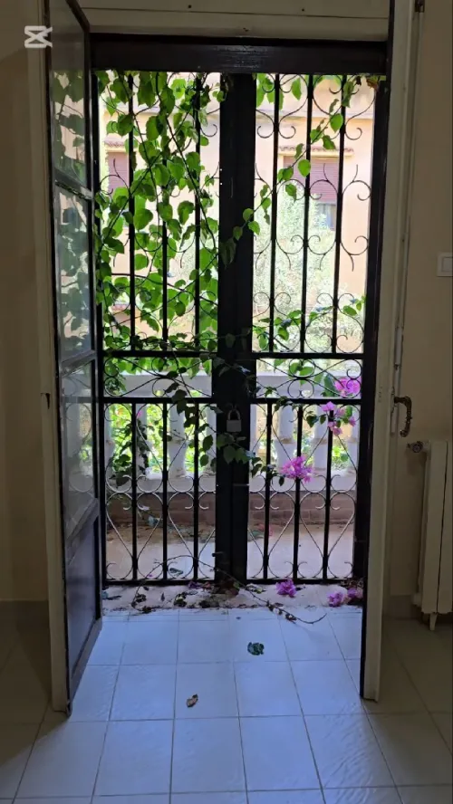 Location Villa Alger Dely brahim