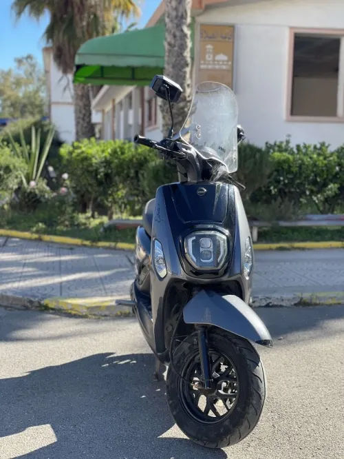Cuxi Estate x 2024