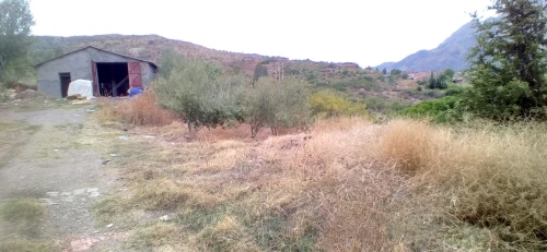 Vente Hangar - Usine Jijel Sidi maarouf