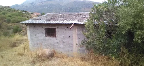Vente Hangar - Usine Jijel Sidi maarouf
