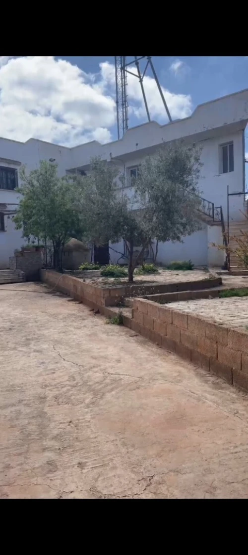 Vente Terrain Tlemcen Beni mester