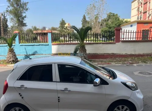 Kia Picanto 2015 Bob