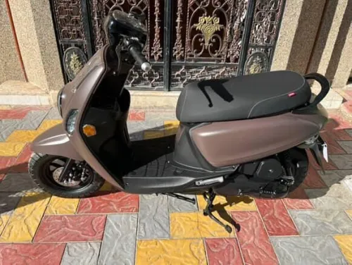 VMS Cuxi 2 2025