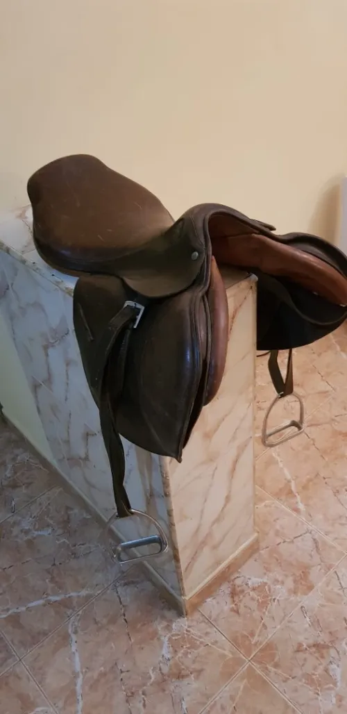 Selle de cheval