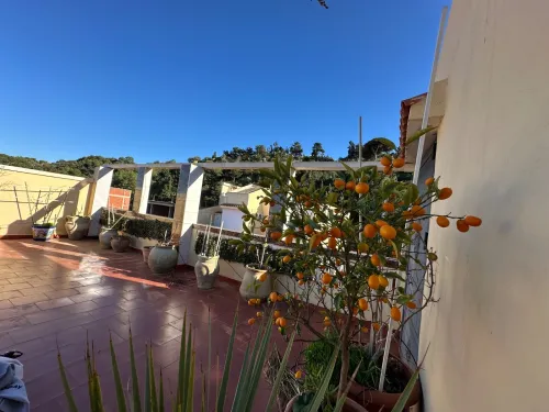 Vente Appartement F4 Tipaza Ain tagourait