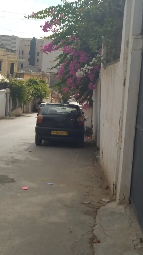 Fiat Palio 2005 Palio