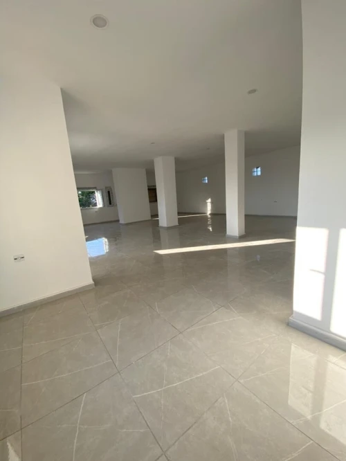 Location bien immobilier Chlef Chlef