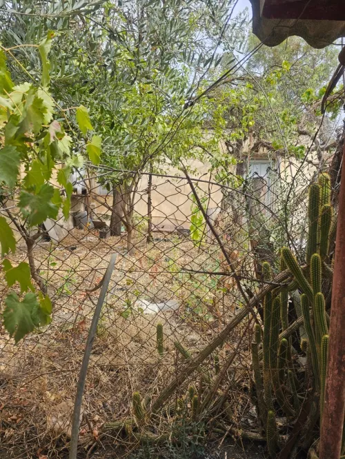 Vente Villa Médéa Tablat