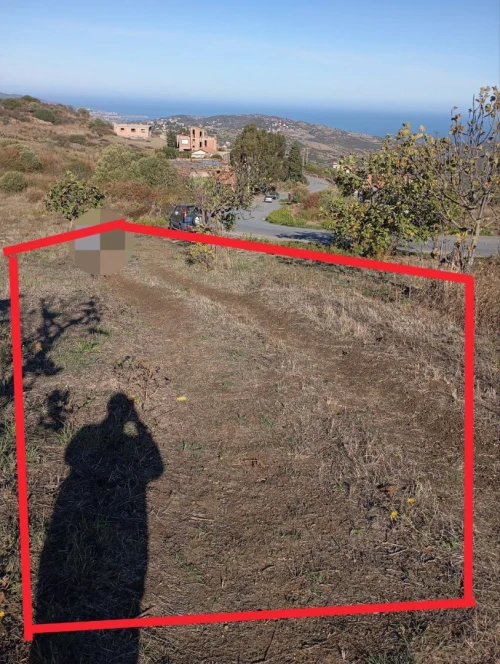 Vente Terrain Boumerdès Afir