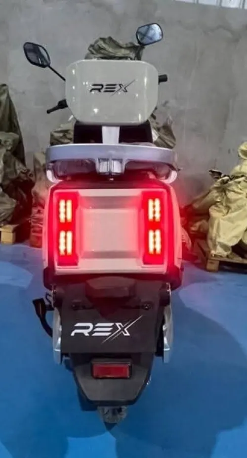 Rex Neon 2025