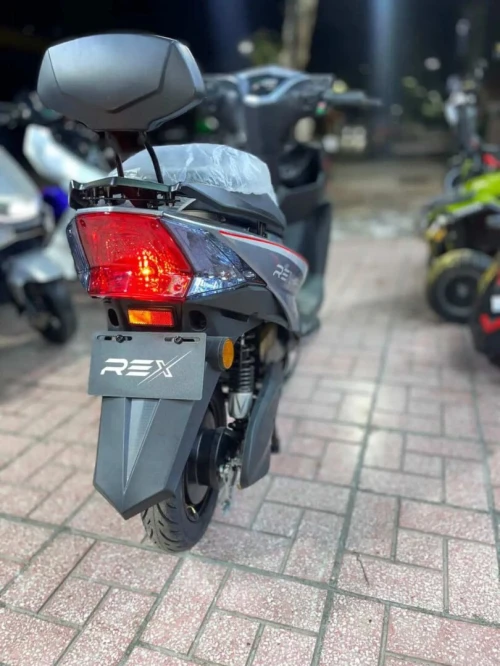 Rex SL 2025