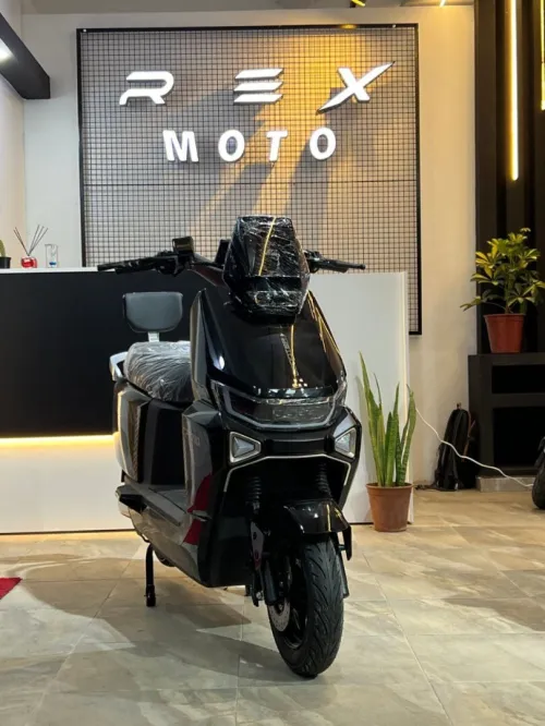 Rex Nova 2025