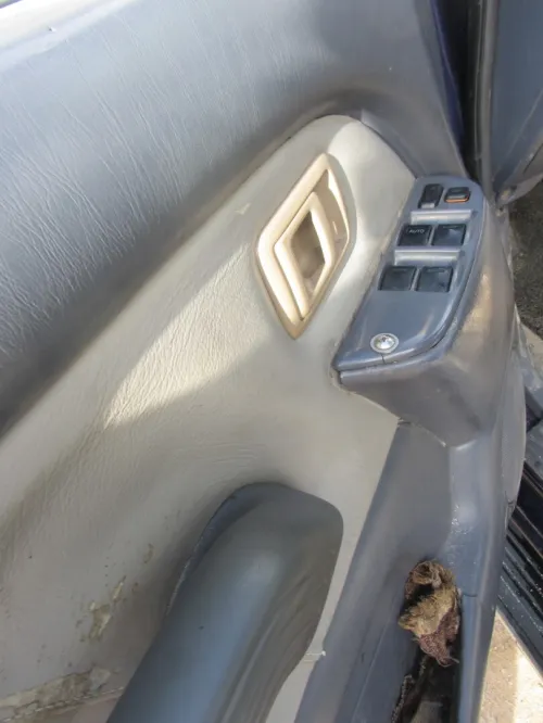 Toyota Land Cruiser 1999 PRADO