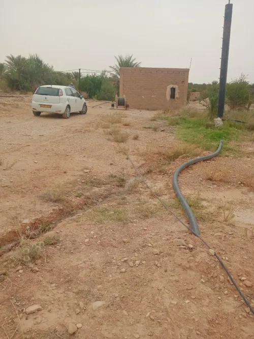 Vente Terrain Agricole Ouled Djellal Ouled Djellal