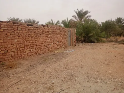 Vente Terrain Agricole Ouled Djellal Ouled Djellal