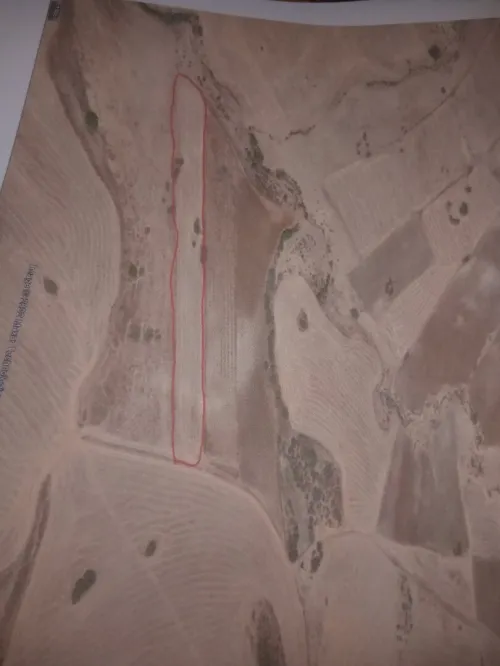 Vente Terrain Agricole Tlemcen Bensekrane
