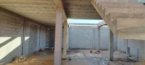 Vente Terrain Naâma Mecheria