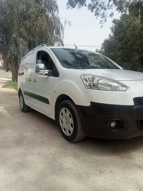 Peugeot Partner 2014 Tepee