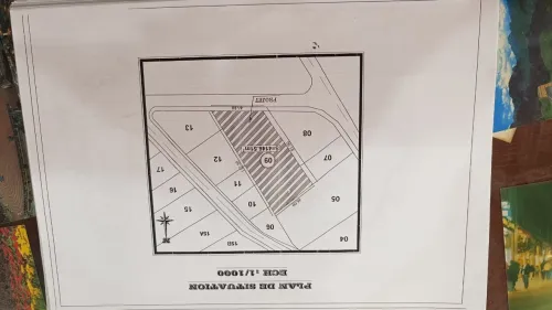 Vente Hangar - Usine Sétif Setif