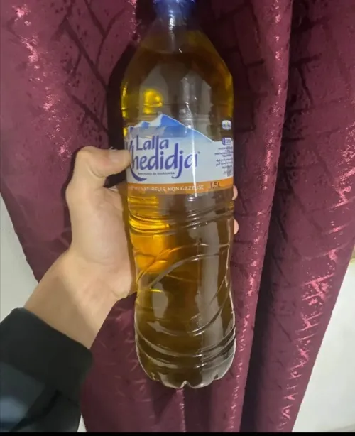 Zit zitoun ta3 ljbal bejaia 